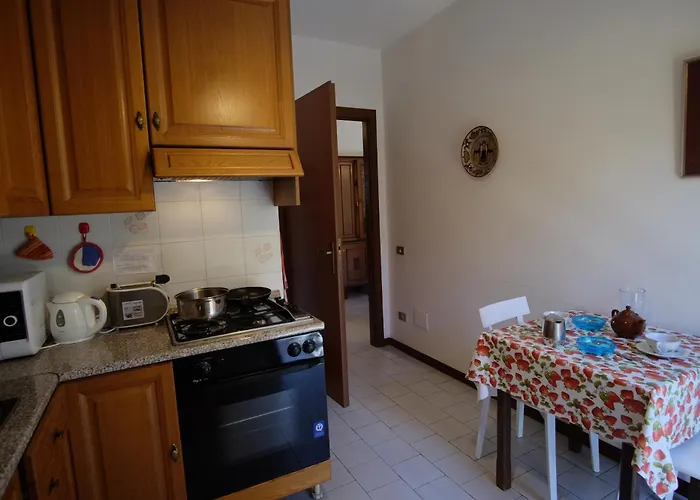 Zarina Палланца